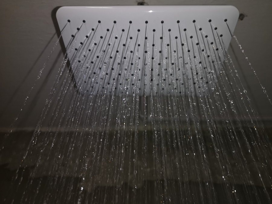 Лейка тропического душа