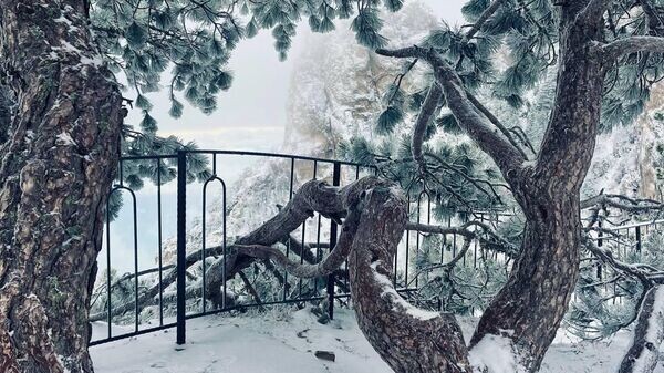    © Туристический центр Ай-Петри