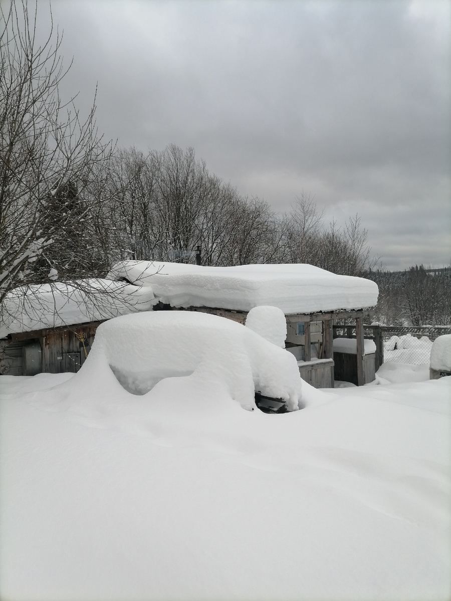 Моя конторка. 5 января 2025г.