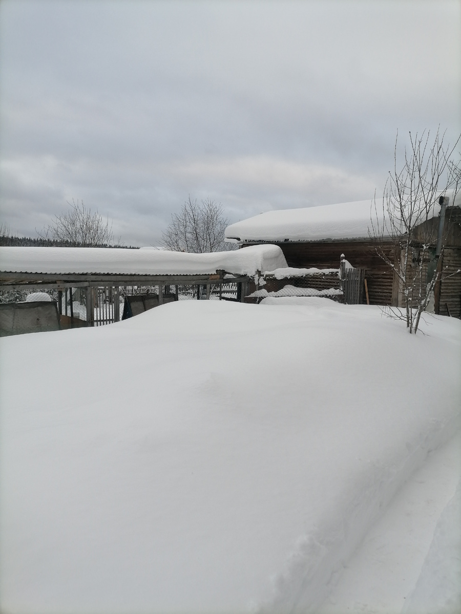 Курятник с вольерами