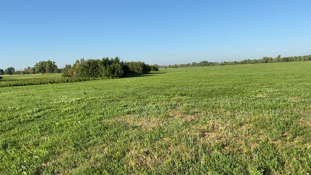 Вид на "ЗОНУ" в августе