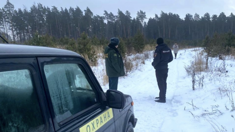   пресс-служба Комитета лесного хозяйства Московской области