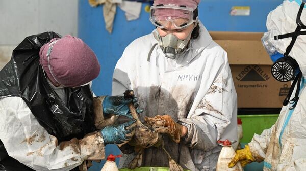    © РИА Новости . Алексей Майшев