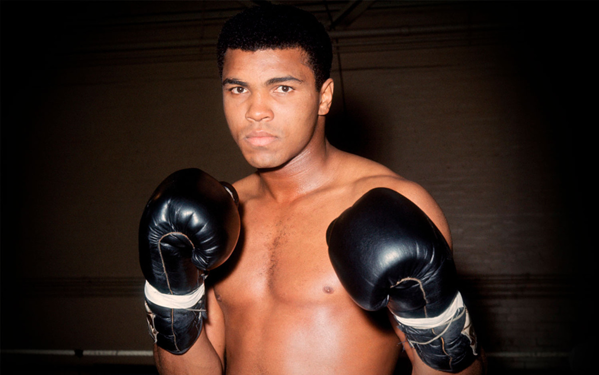 фото: открытый источник