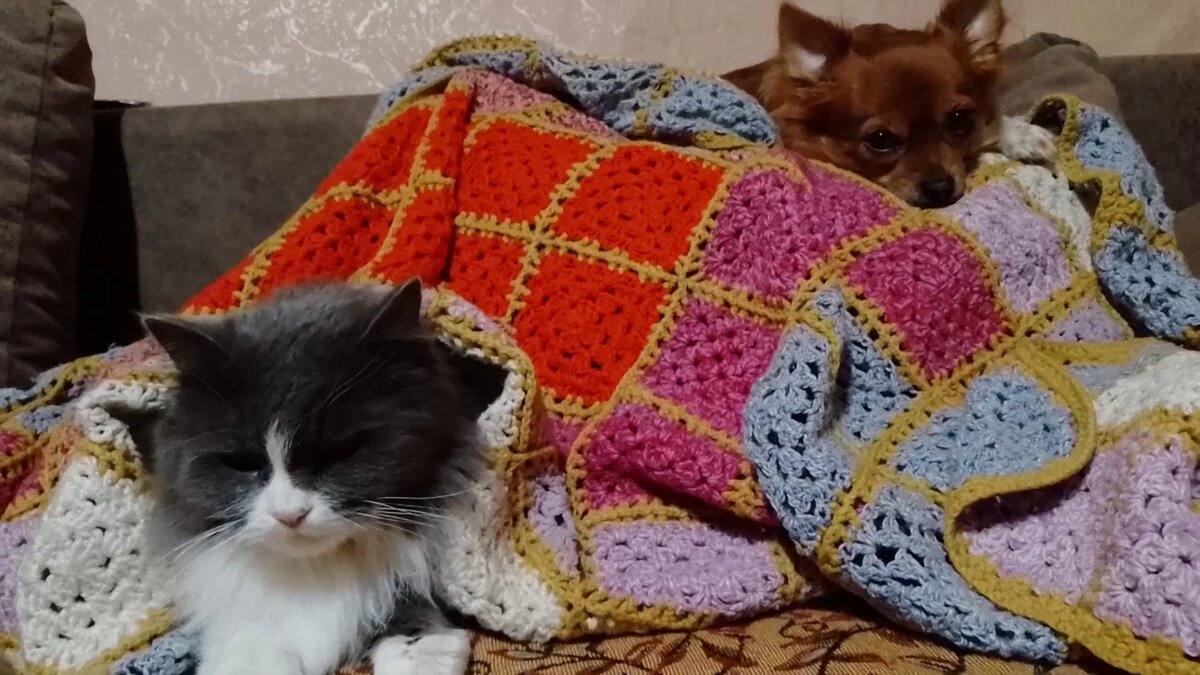 Плохо когда нет тепла.