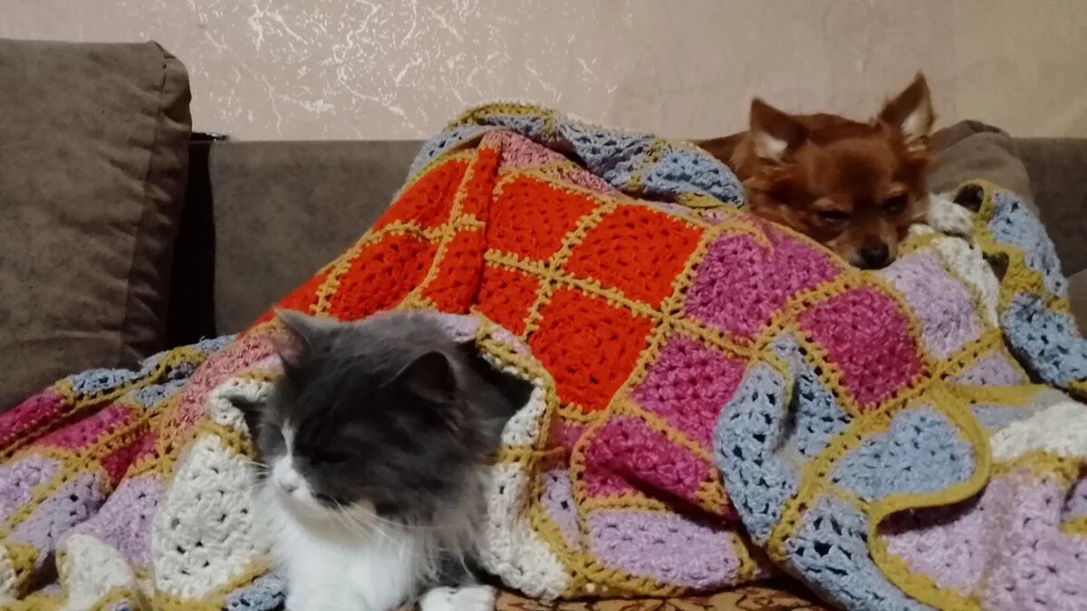 Не поймут в чем дело,холодно.