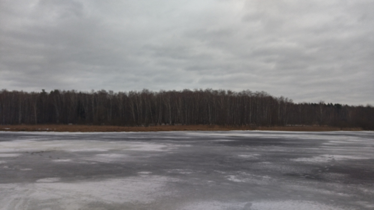 Лес по левому берегу водоема придает рыбалке некую загадочность и таинственность...