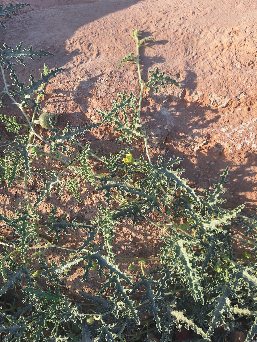 Фото - собственность автора канала.