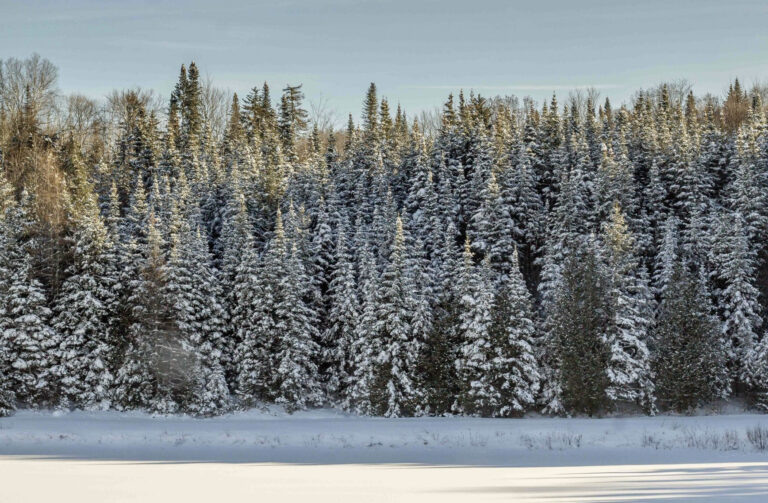    Фото: freepik.com/wirestock Ксения Зиннер