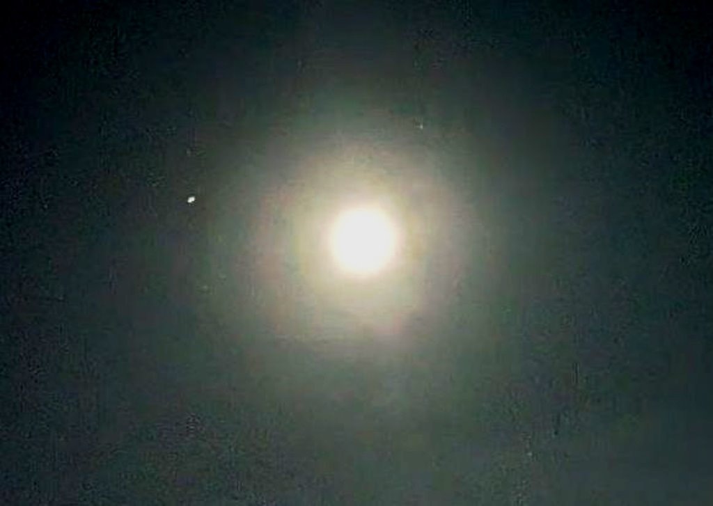 20 августа 2024. Фото моё.