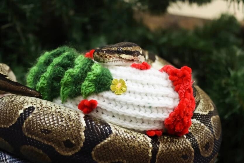 Фото: Челябинский зоопарк