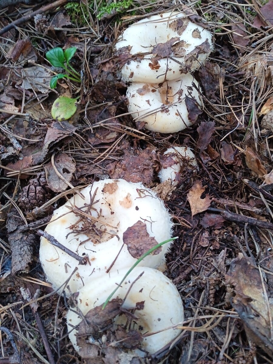 Автор фото Елена Торокова