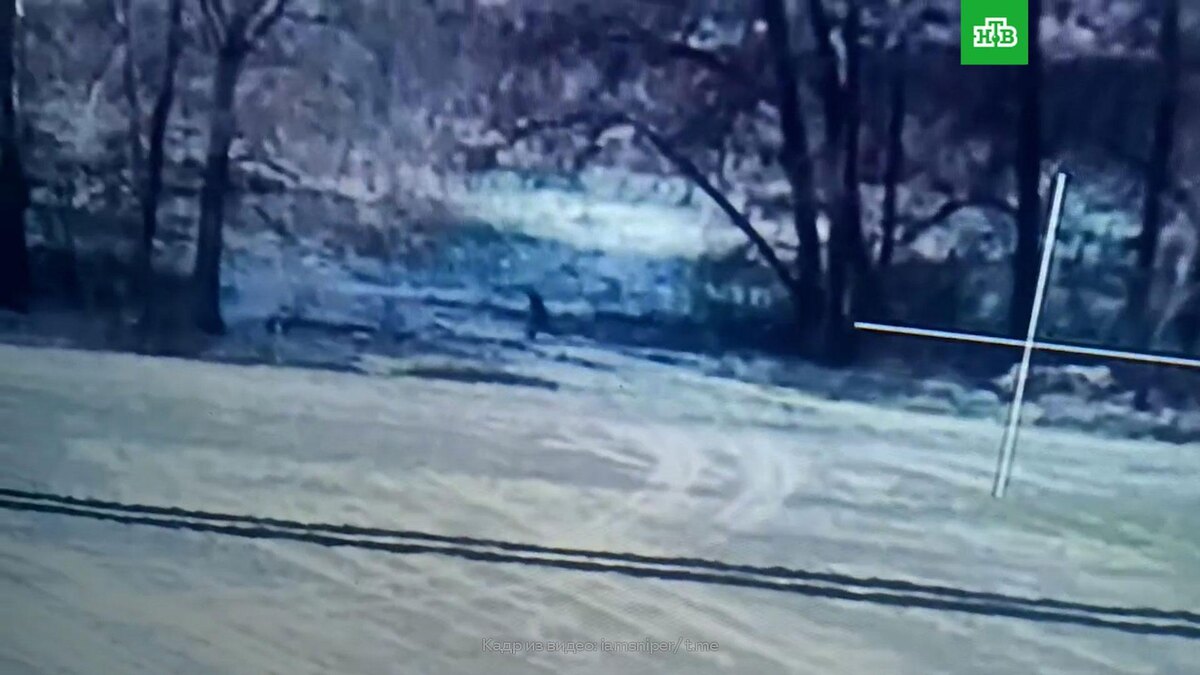    Убегающих солдат ВСУ в курском приграничье сняли на видео