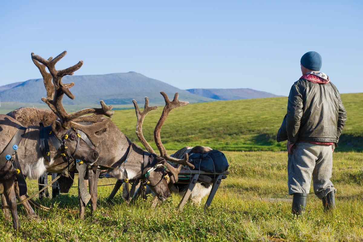 Фото: Karasev Viktor/Shutterstock/Fotodom