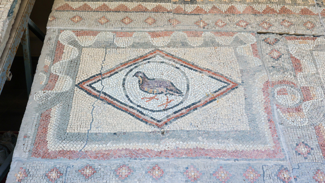    Фото: Petrov Sergey/news.ru/Globallookpress