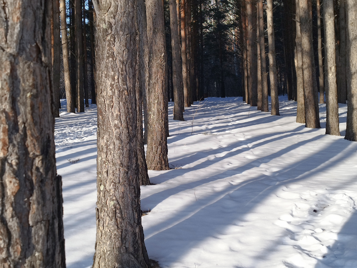 Как перестать фотографировать эти тени? 