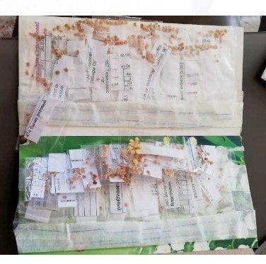 Это фото - память о первом заказе, сделанного у меня.