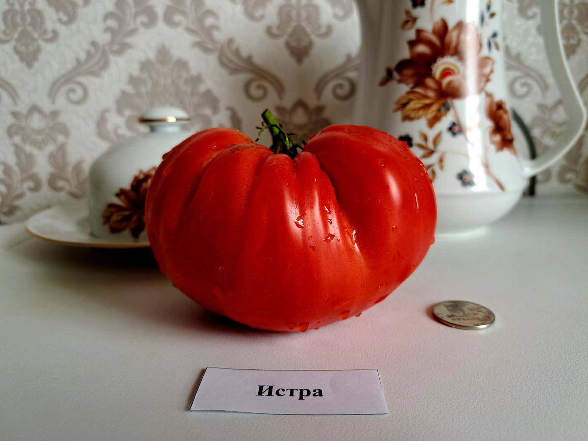 ЛИСТАЙТЕ ВПРАВО