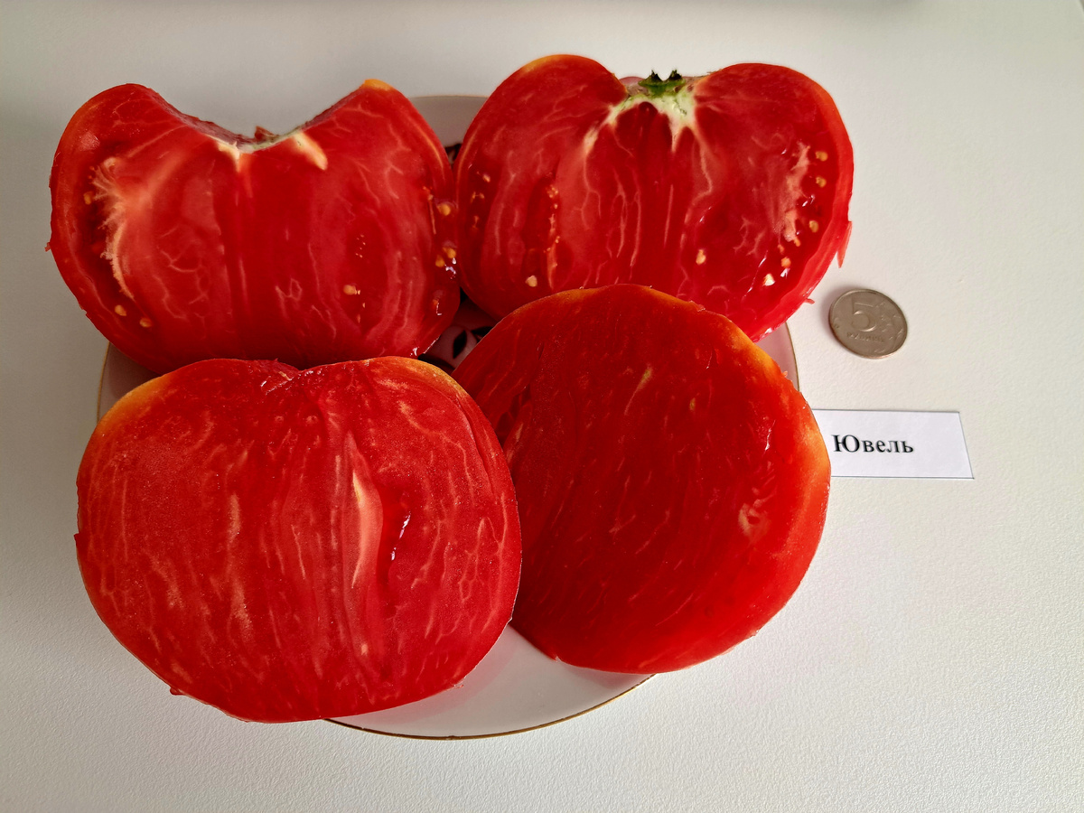 ЛИСТАЙТЕ ВПРАВО