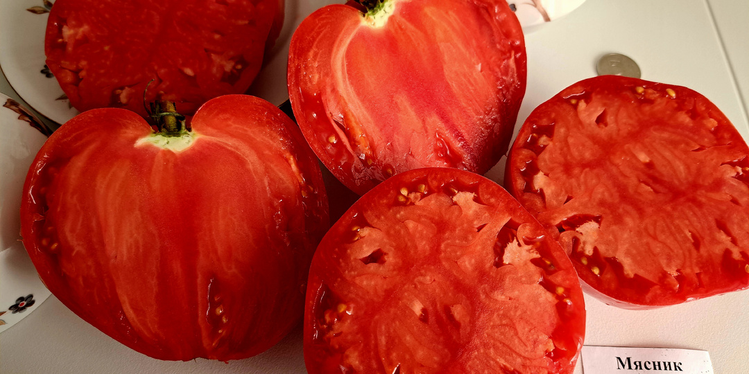 Для моих заказчиков