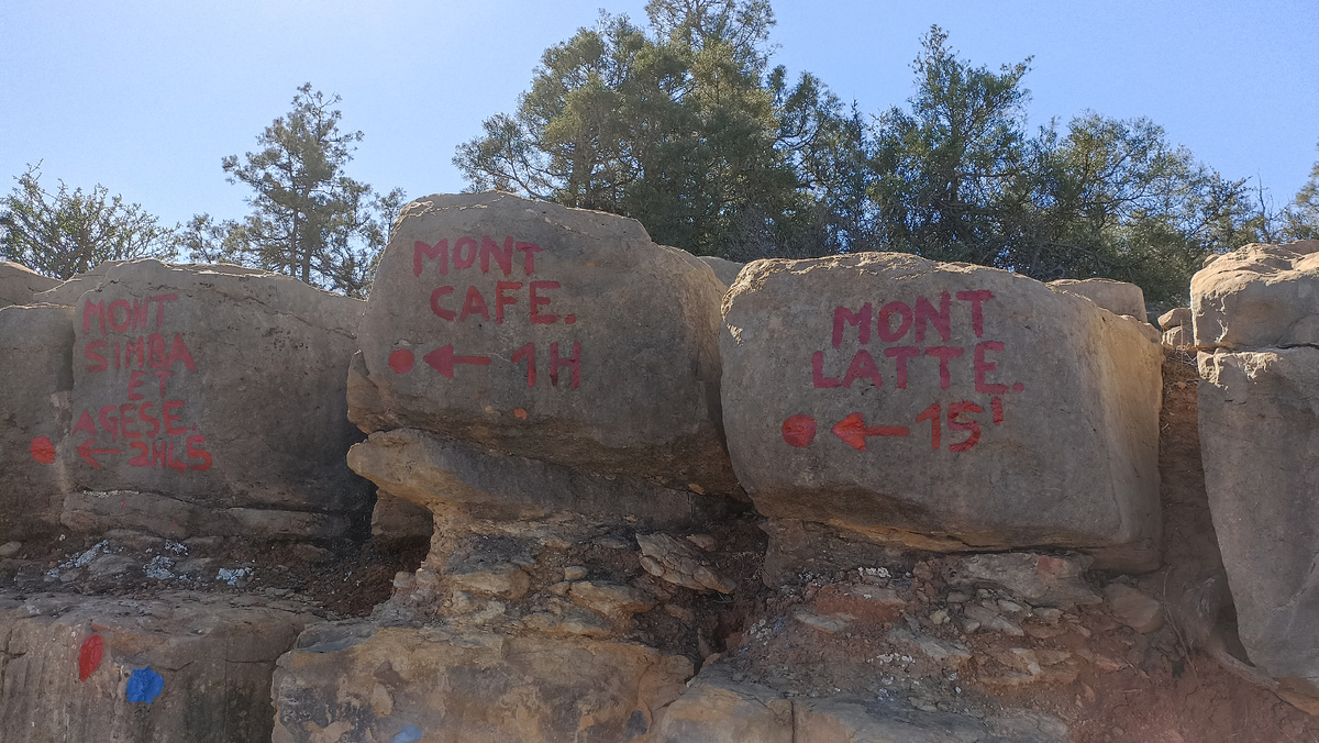 Такая вот маркировка на хребте