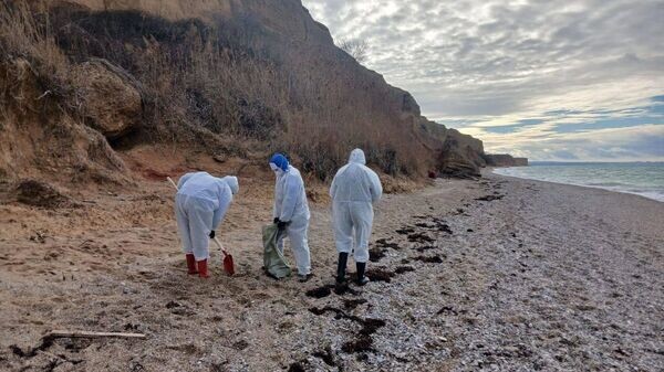    © Telegran-канал Михаила Развожаева