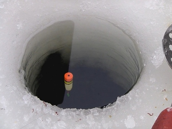 Фото с сайта: https://www.ohotniki.ru/upload/ohotniki/article_images/3a/ab/3d/495_37230.jpg