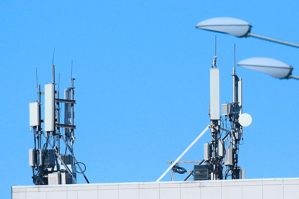 Фото: Евгений Одиноков/РИА «Новости»  📷
