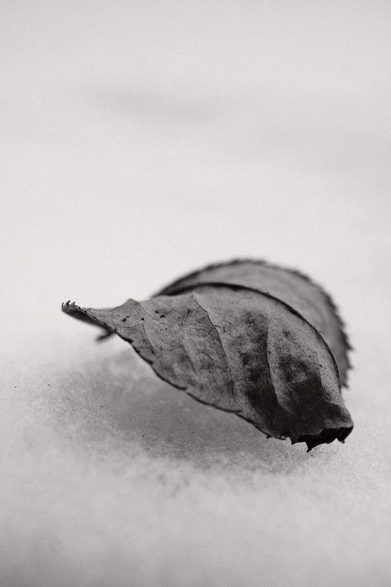 ©️photographer Sergey Karavaev #SOOC blog 365 days photo