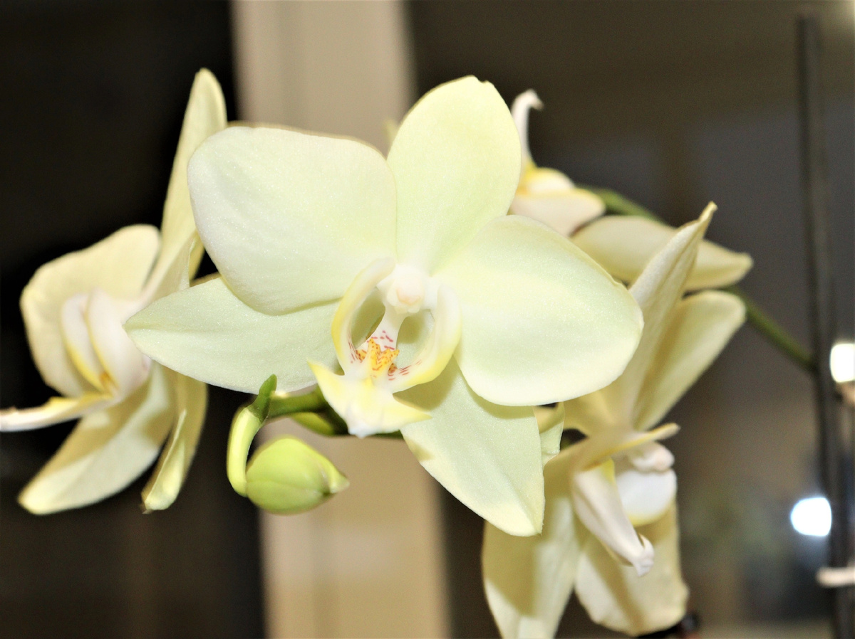 Личное фото автора 