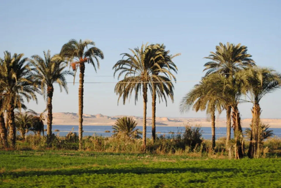 Оазис Эль-Фаюм и озеро Карун сегодня