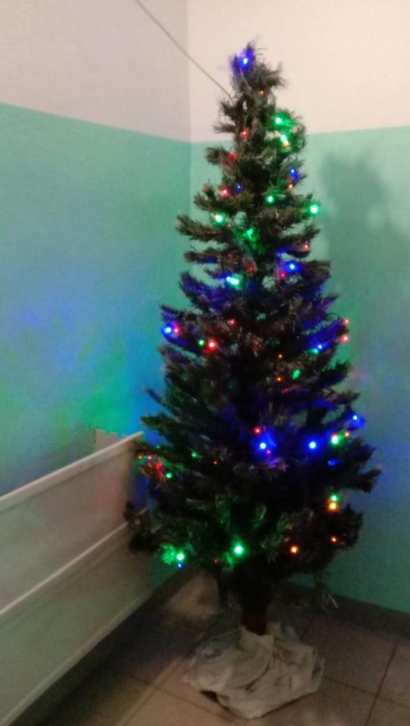 Фото автора.  Ёлочка в нашем подъезде 