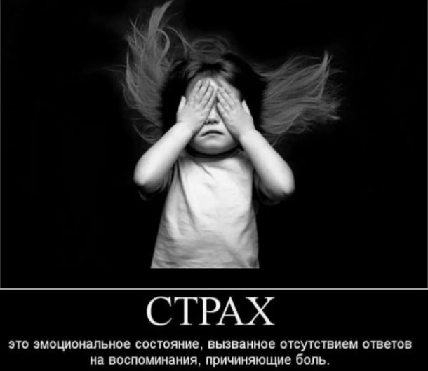 Фото из картинок yandex.ru