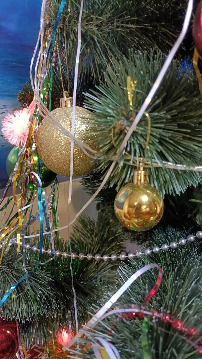 Кусочек нашей ёлки 