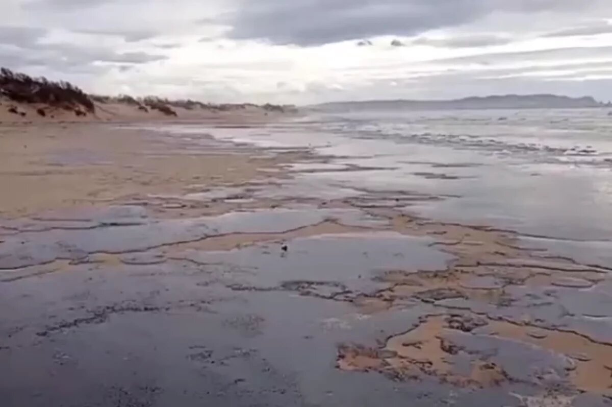    Пробы воздуха и воды в Анапе и Темрюкском районе соответствуют норме