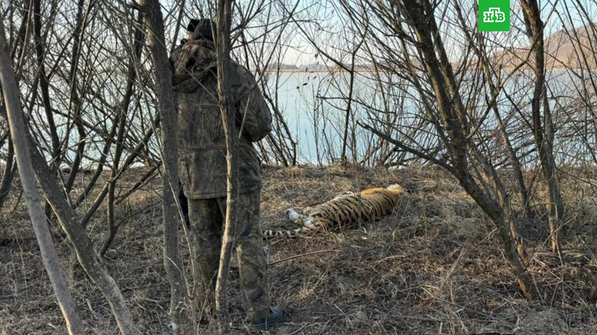    Фото: prosecutor_pk / t.me