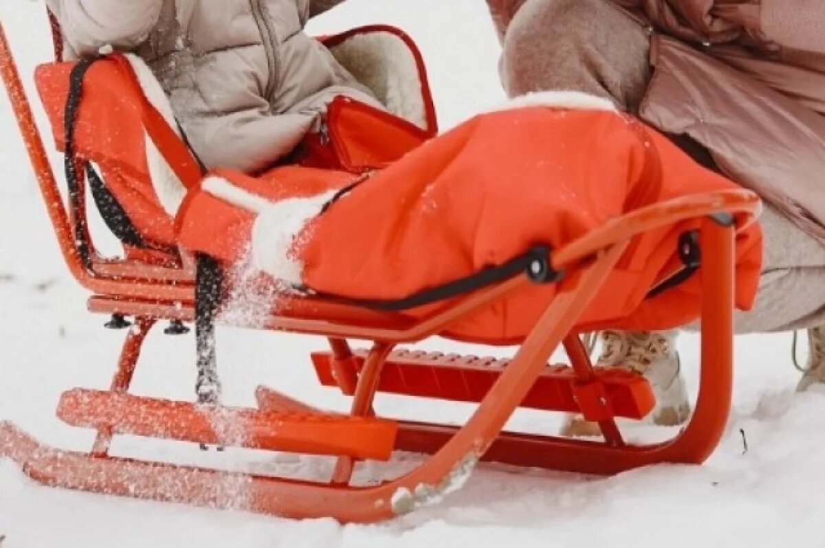    Тулякам рассказали о безопасности детей во время катания на санках