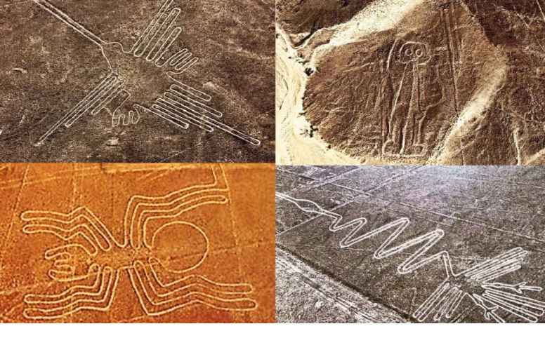 Фото из источника Яндекс картинки 