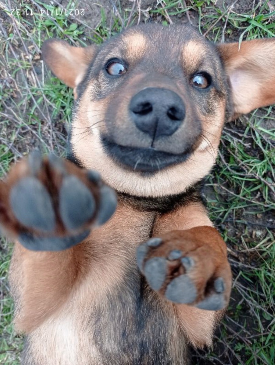 Первое знакомство 