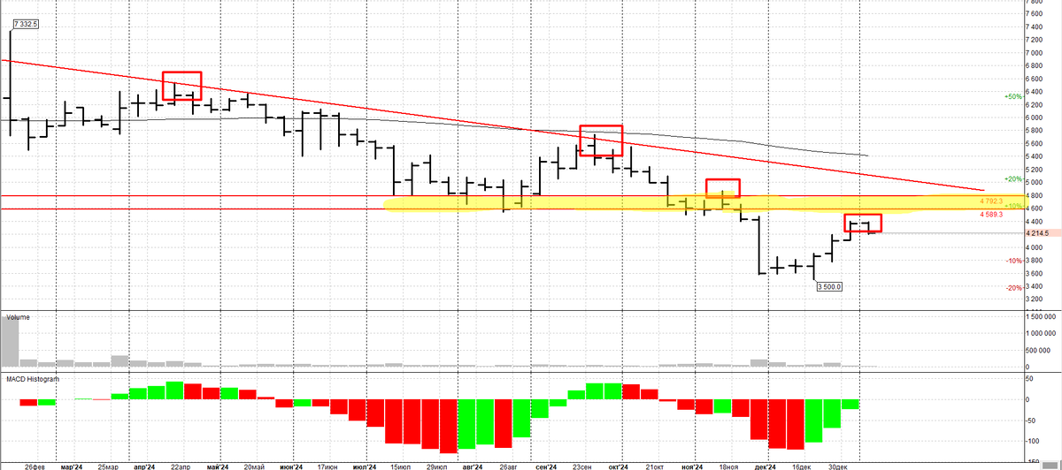 Диасофт Недельный график.