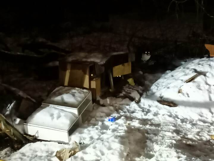 Вот так живут котятки на улице в заброшенных бараках