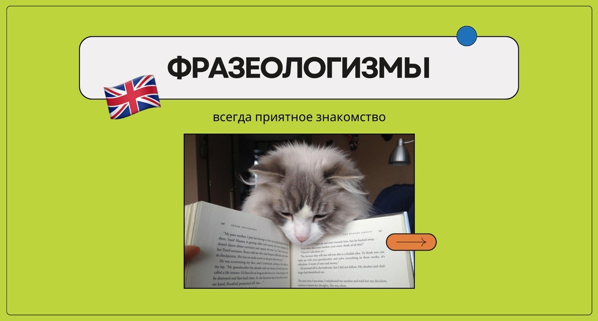 Изображение: Family English