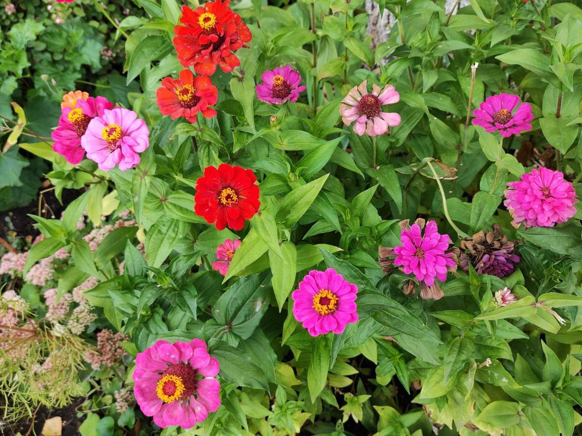 Фото автора.