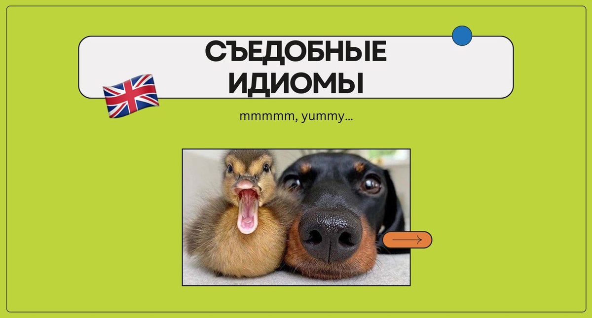 Изображение: Family English