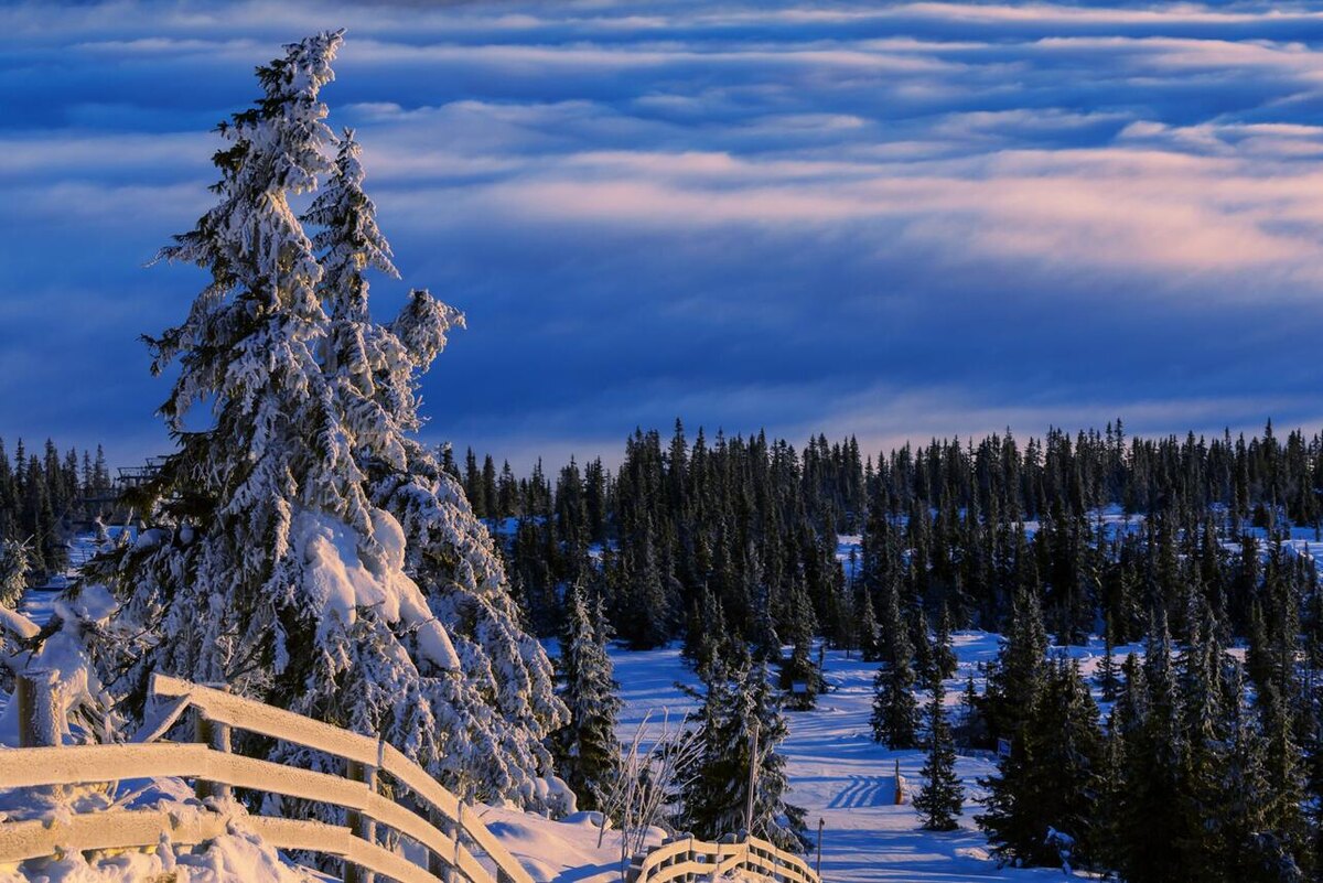     123RF/legion-media.ru