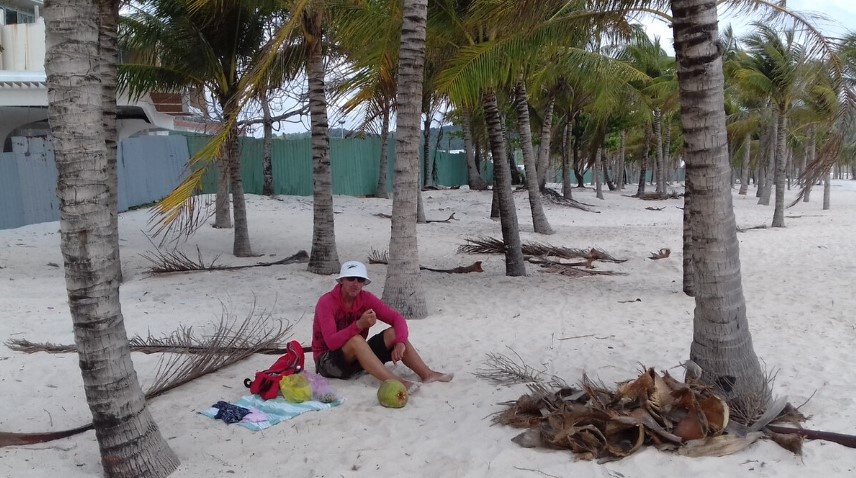 За забором идет стройка