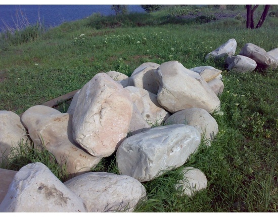 Реальность