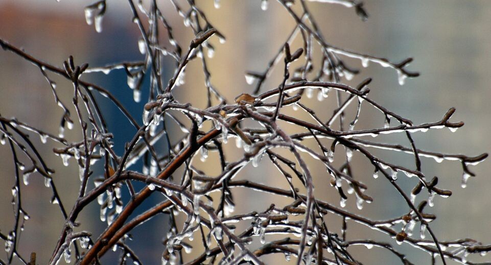    Alexander Legky, Alexander Legky/Global Look Press