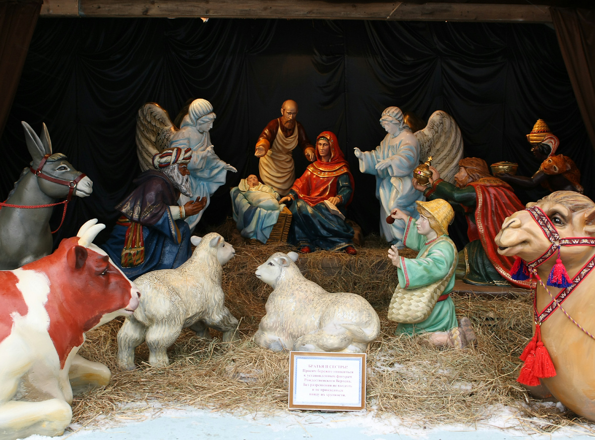 Фото: Alexey Porokhovnikov / globallookpress.com