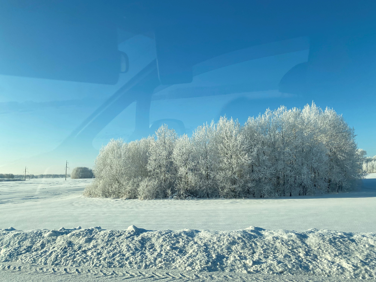 Зимние пейзажи по дороге на Алтай. 